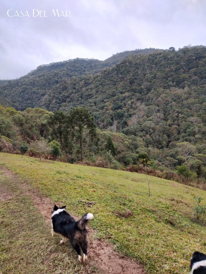 Fazenda à venda, 20000m² - Foto 3