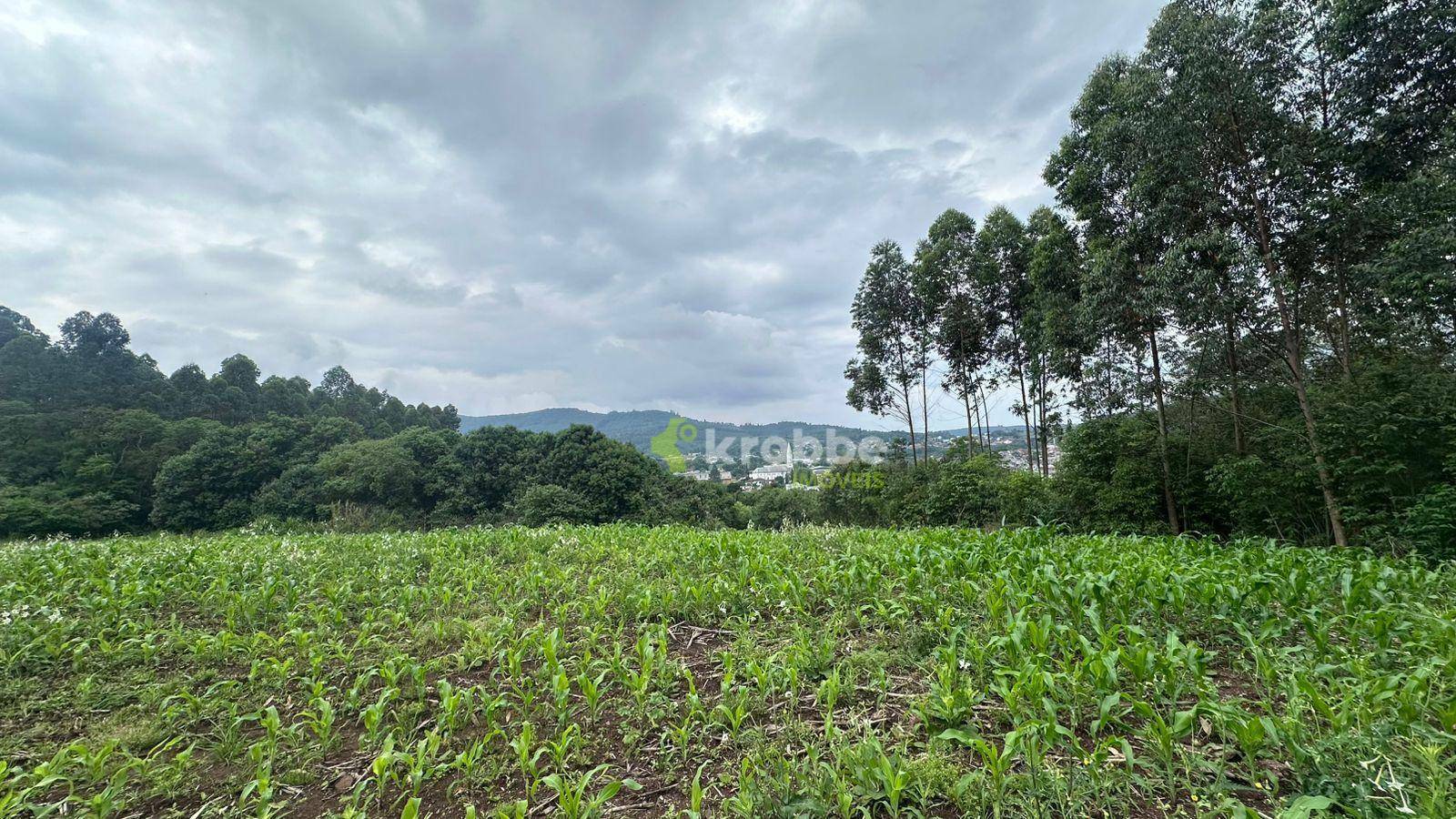 Terreno à venda, 13609M2 - Foto 3