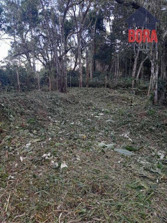 Loteamento e Condomínio à venda, 1900M2 - Foto 6