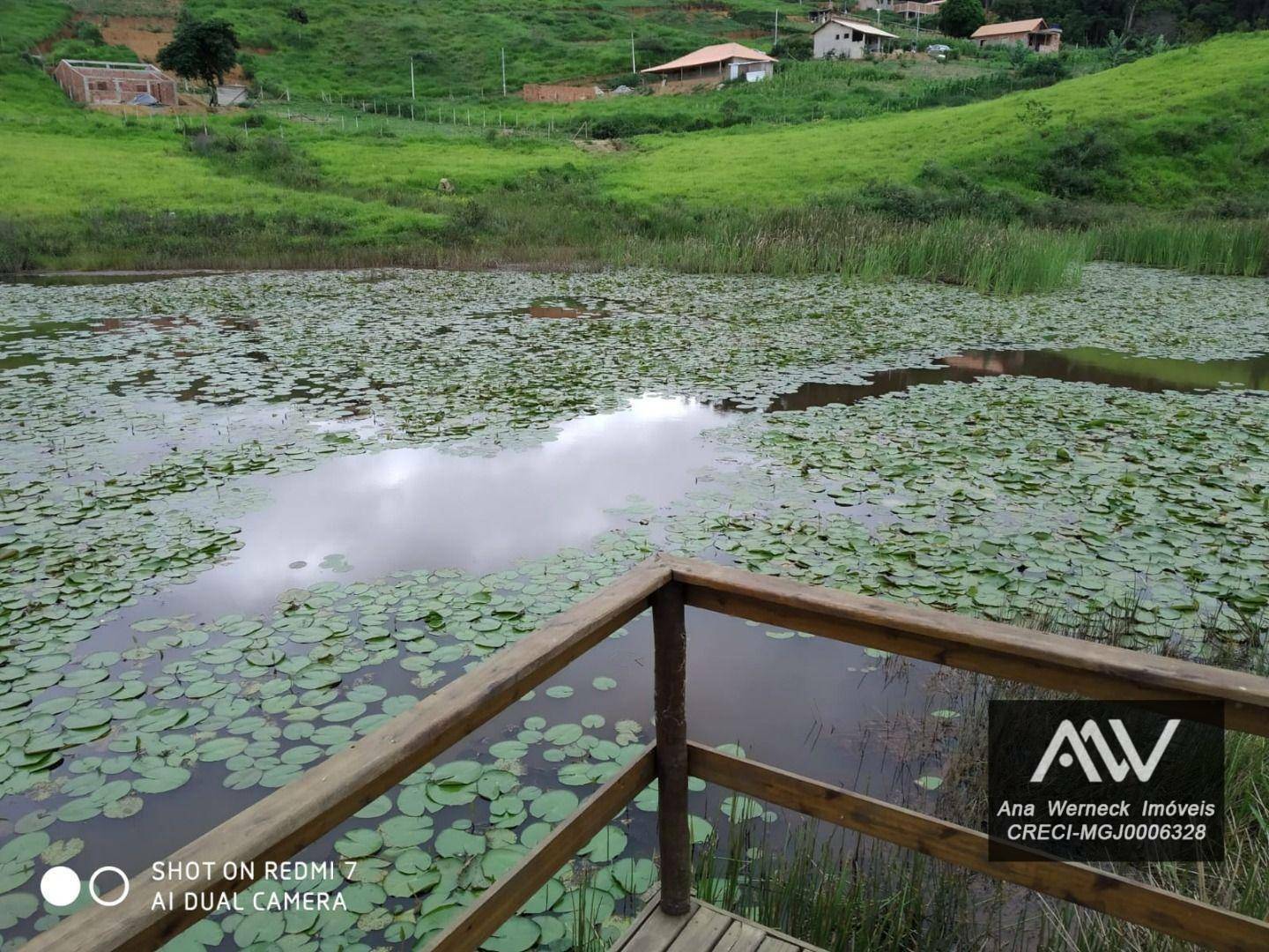 Chácara à venda com 2 quartos, 1000M2 - Foto 18