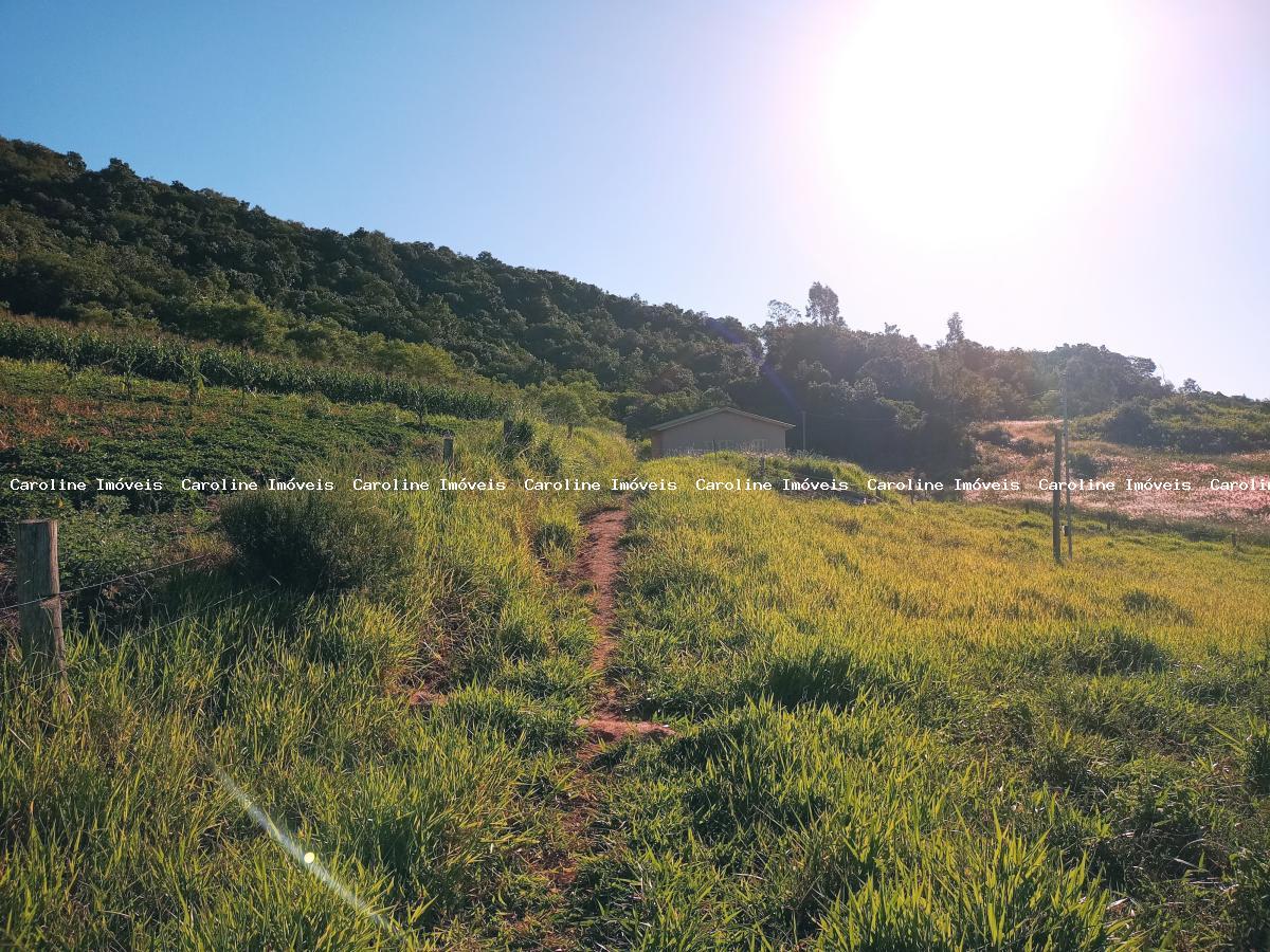 Fazenda à venda com 2 quartos, 50000m² - Foto 15