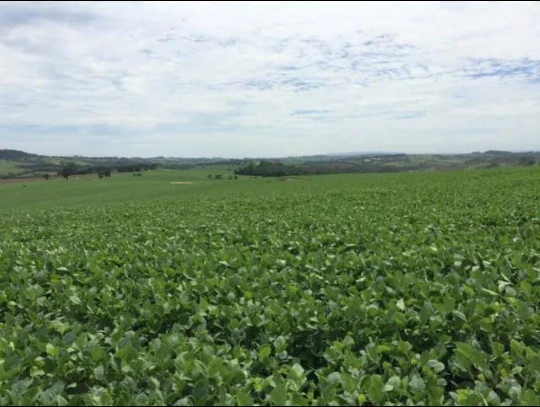 Fazenda à venda com 2 quartos, 1185800m² - Foto 2