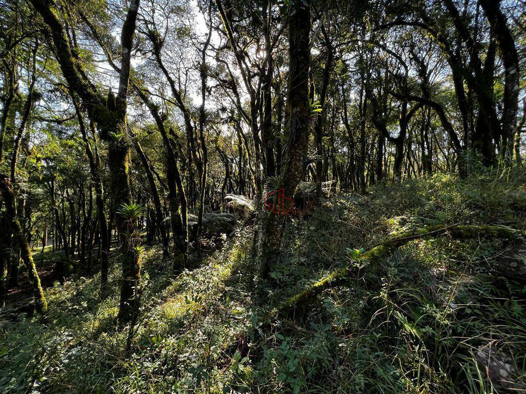 Loteamento e Condomínio à venda, 885M2 - Foto 2