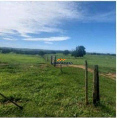 Fazenda, 315 hectares - Foto 6