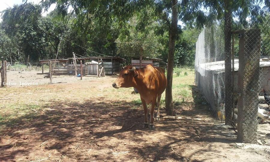 Chácara à venda, 46600m² - Foto 7