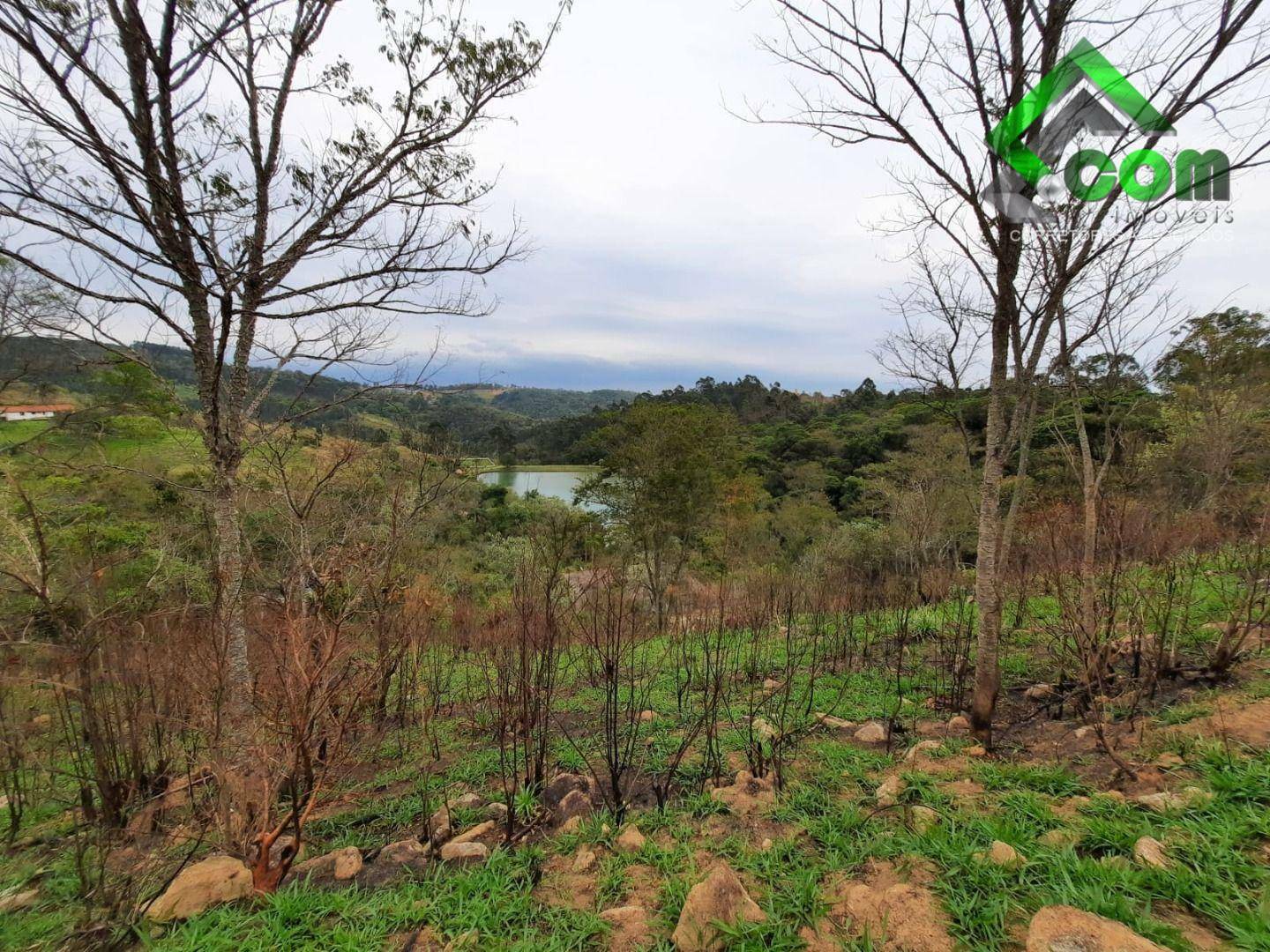 Terreno à venda, 40000M2 - Foto 8