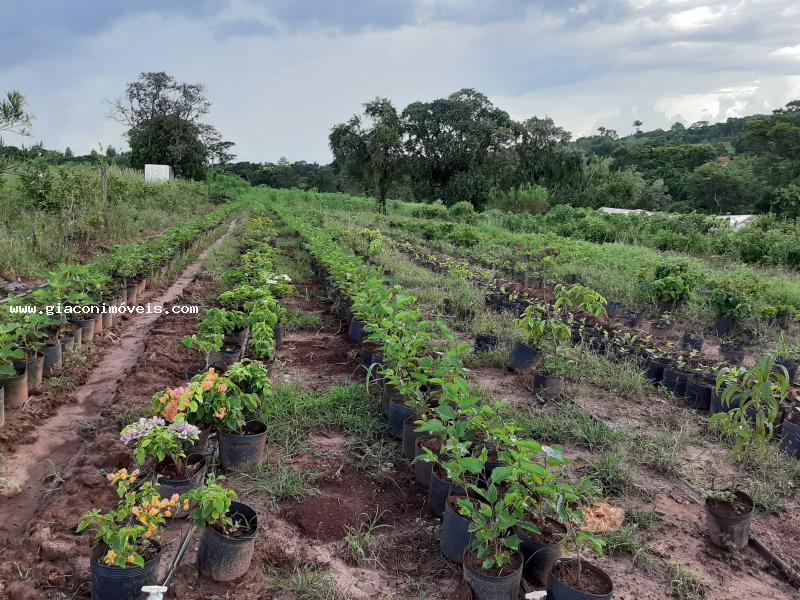 Fazenda à venda com 2 quartos, 22900m² - Foto 16