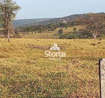 Fazenda à venda, 3242800M2 - Foto 5