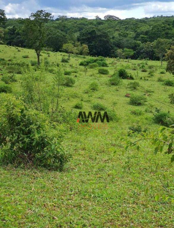 Fazenda à venda, 968000M2 - Foto 8