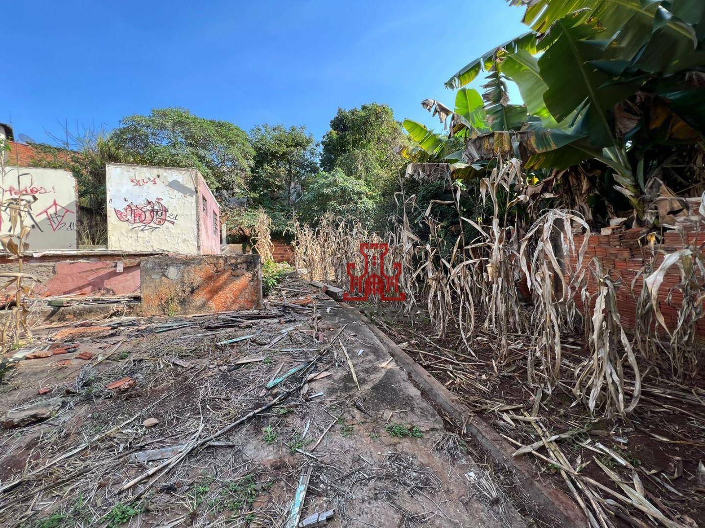 Terreno à venda, 729M2 - Foto 3