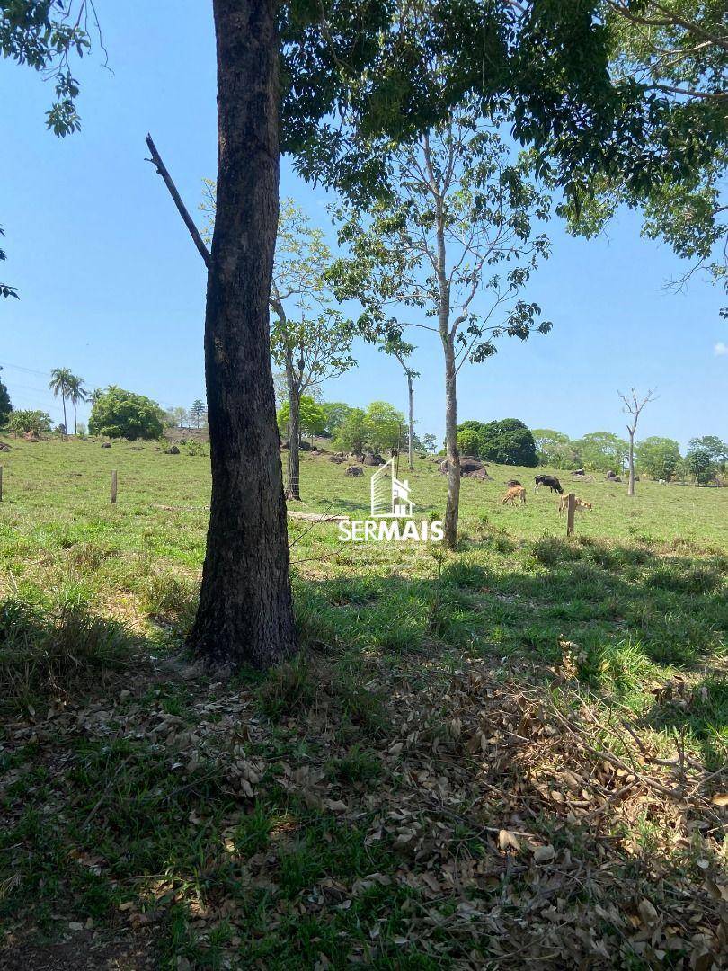 Chácara, 1 quarto, 8 hectares - Foto 5