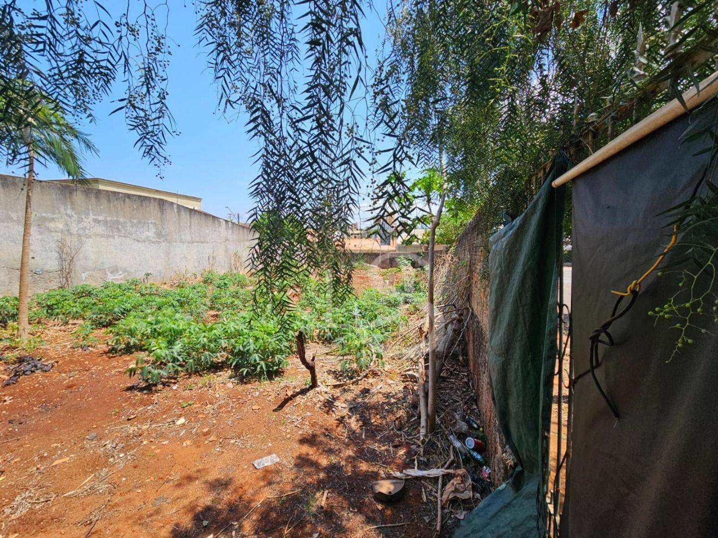 Terreno, 350 m² - Foto 6