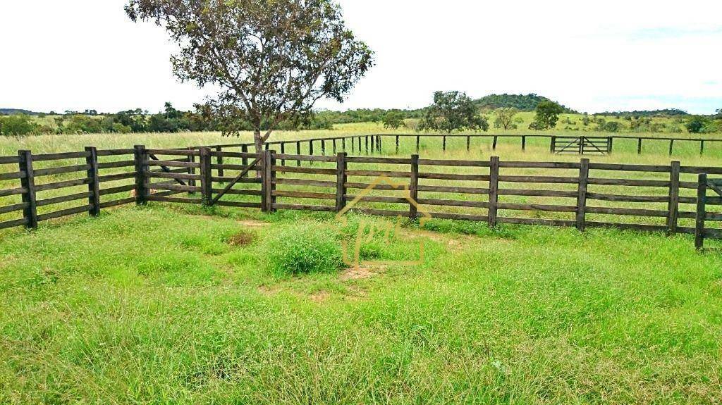 Fazenda à venda com 3 quartos, 250m² - Foto 19