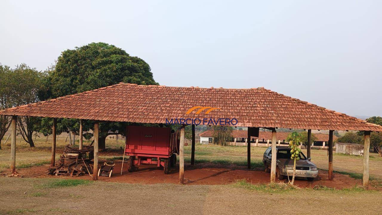 Fazenda, 121 hectares - Foto 8