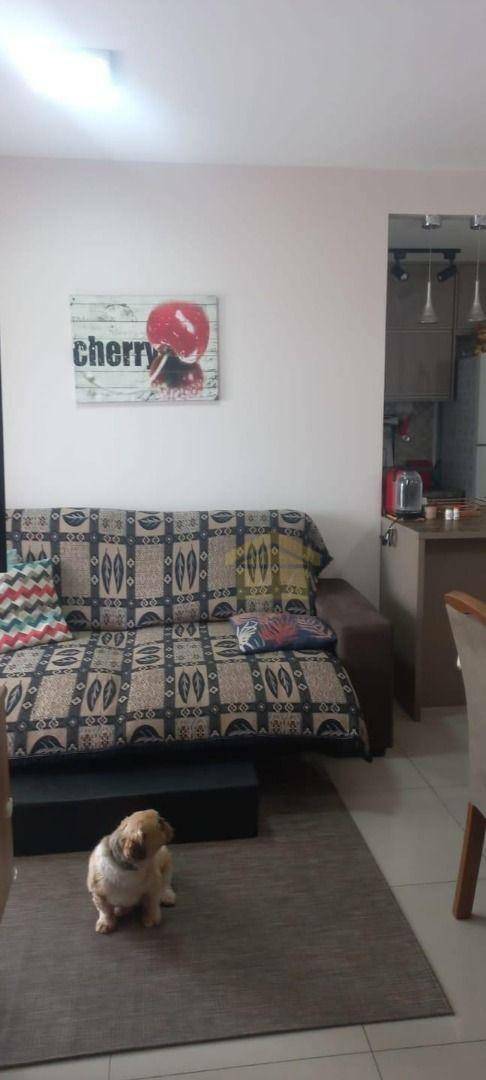 Apartamento à venda com 3 quartos, 67m² - Foto 16