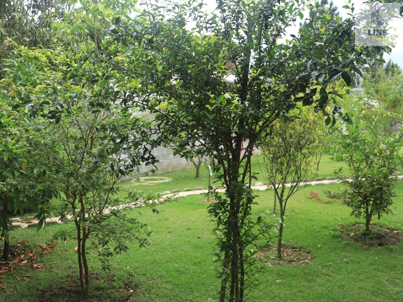 Fazenda à venda com 2 quartos, 95m² - Foto 5