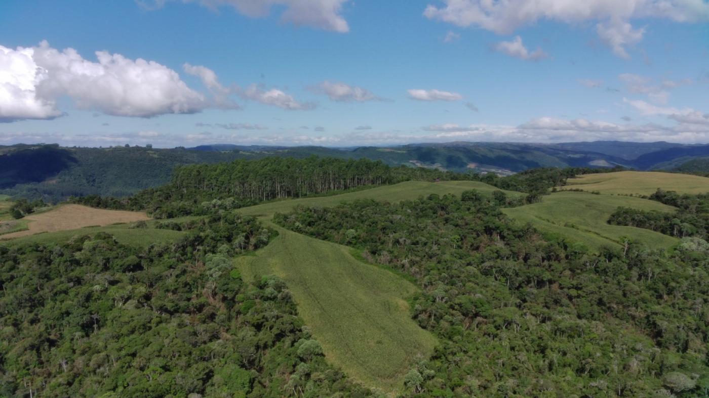 Fazenda à venda com 2 quartos, 925500m² - Foto 7