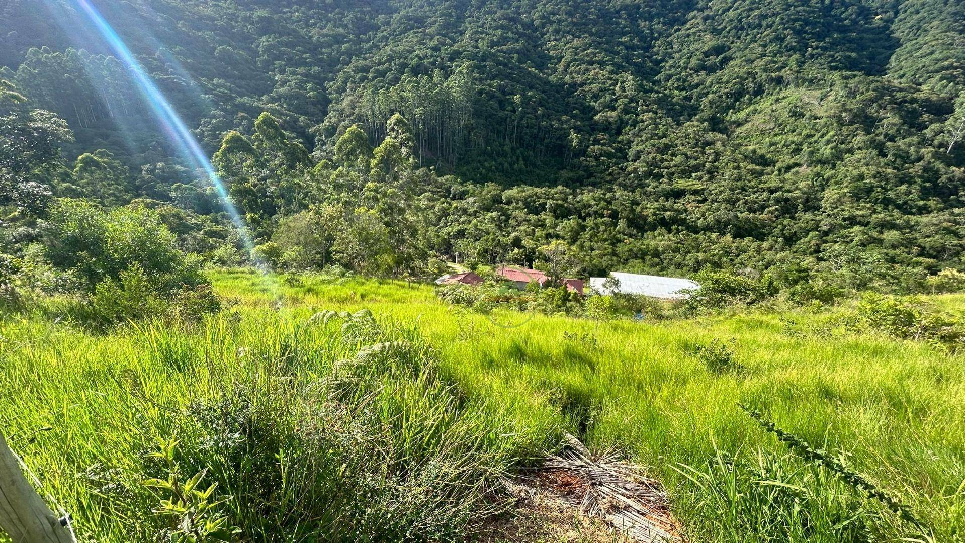 Sítio, 3 quartos, 2 hectares - Foto 3