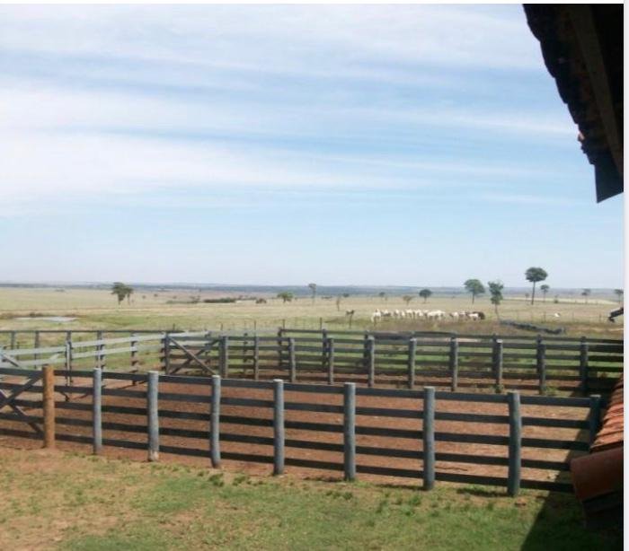 Fazenda à venda, 1007m² - Foto 2