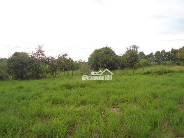 Terreno à venda, 5343M2 - Foto 3