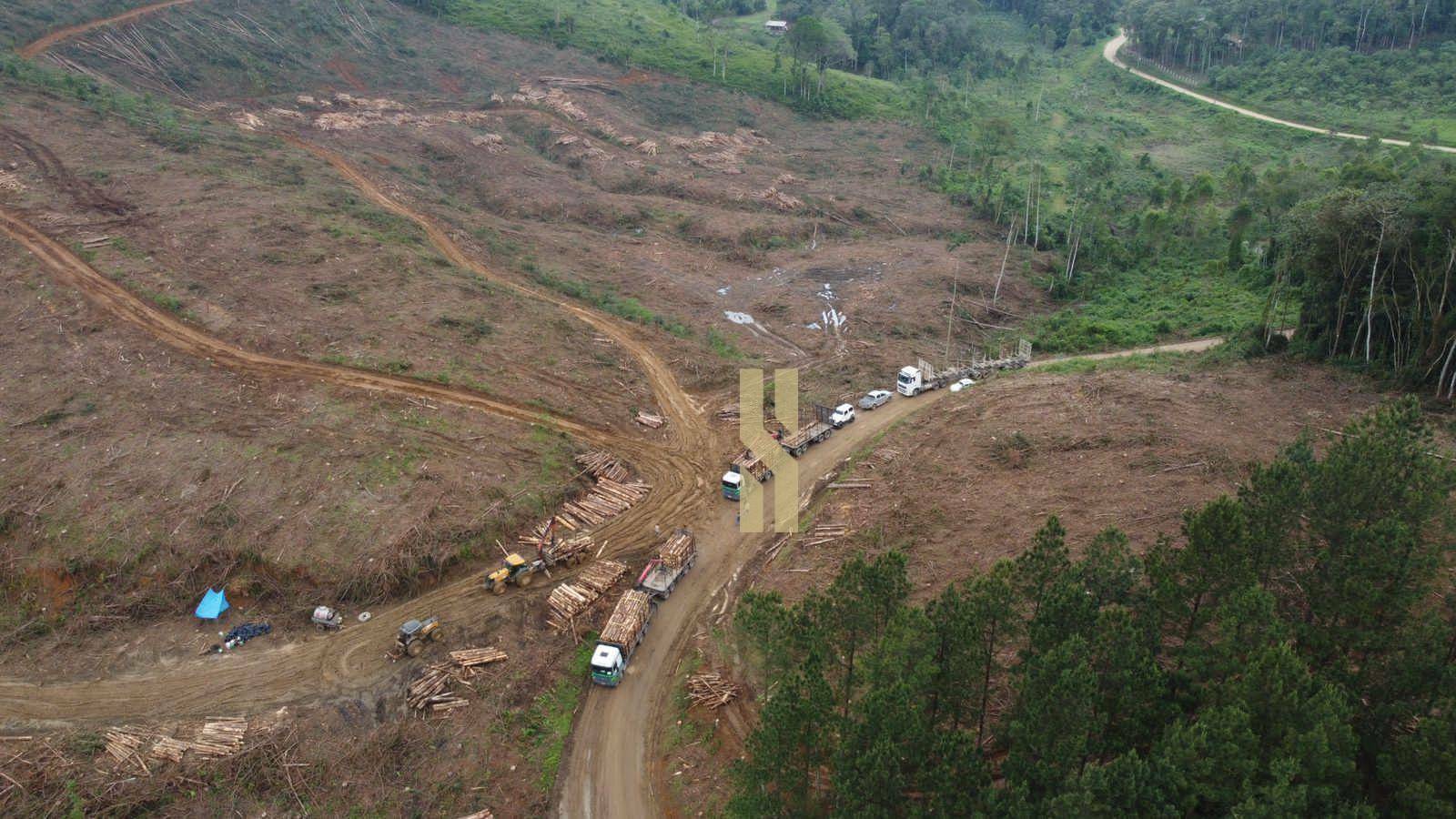 Terreno à venda, 151250M2 - Foto 1