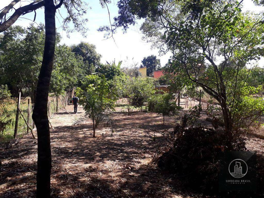 Fazenda à venda com 2 quartos, 1000M2 - Foto 1