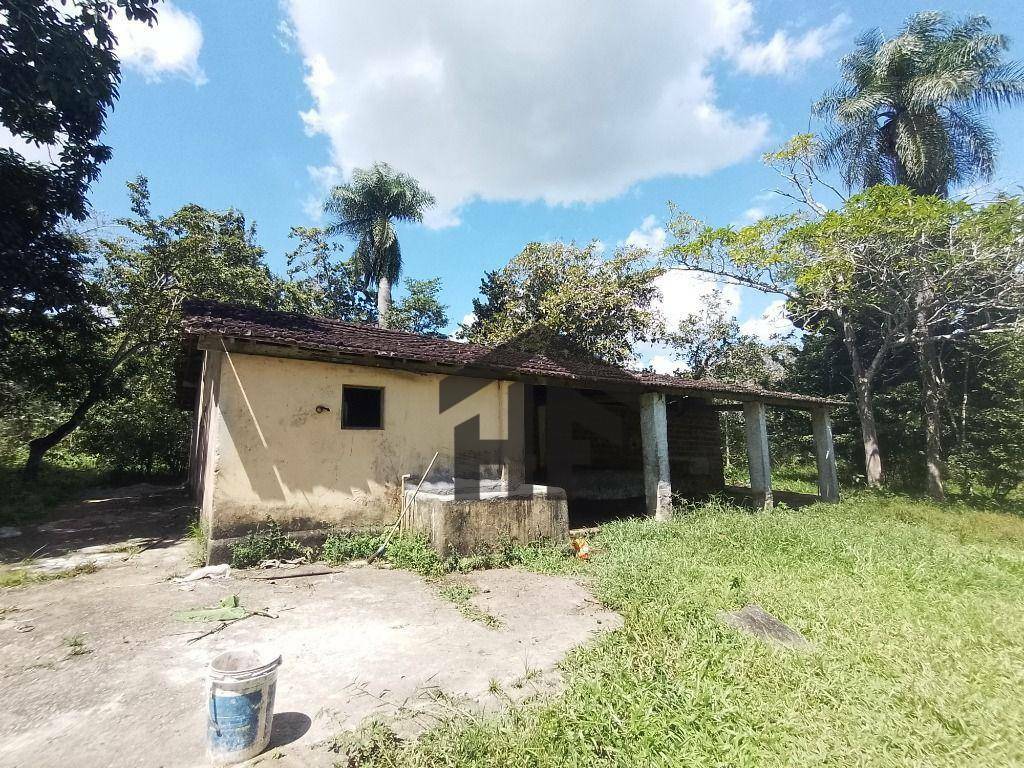 Chácara à venda com 4 quartos, 98000M2 - Foto 12