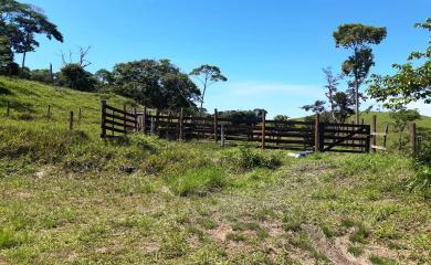Sítio à venda com 2 quartos, 210000m² - Foto 11