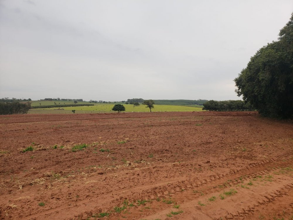 Fazenda-Sítio-Chácara, 53 hectares - Foto 1