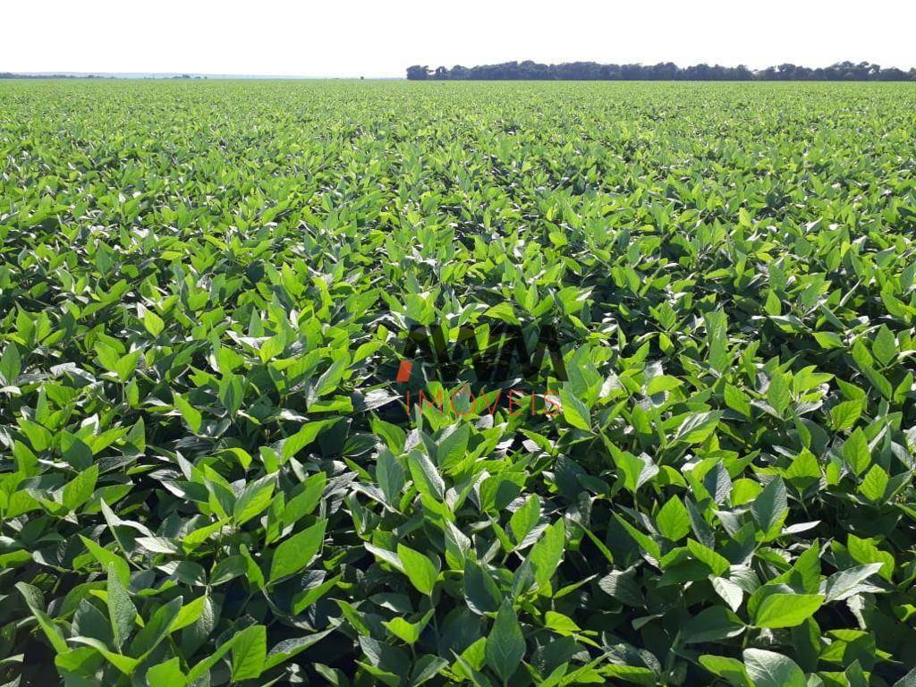 Fazenda à venda, 11520000M2 - Foto 5