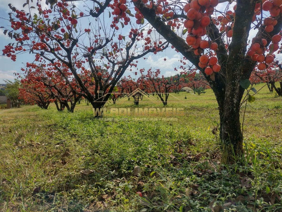 Fazenda à venda, 5m² - Foto 44