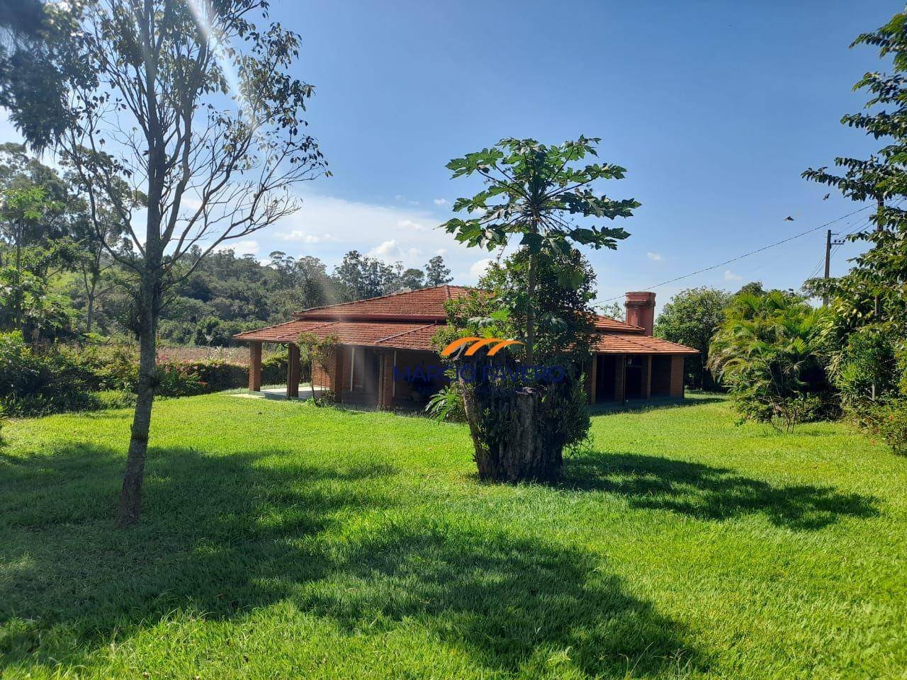 Sítio, 92 hectares - Foto 2