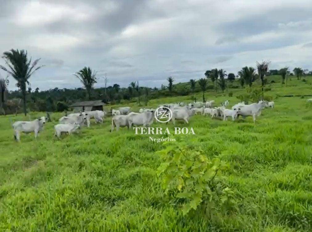 Fazenda à venda, 1452000M2 - Foto 2