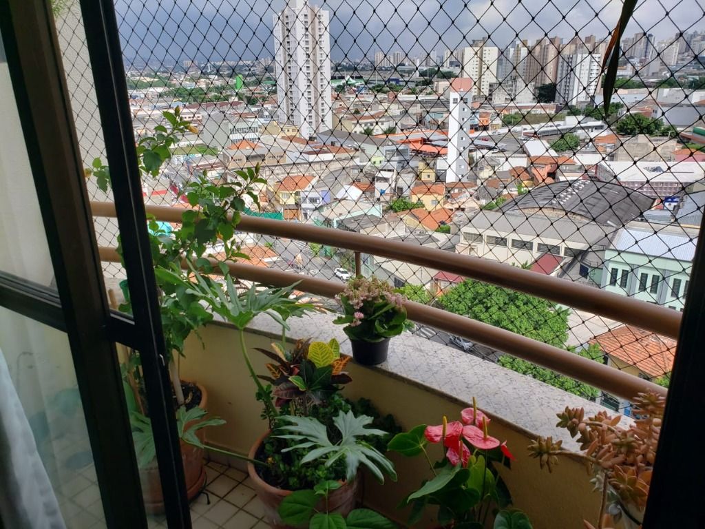 Apartamento à venda com 3 quartos, 95m² - Foto 13