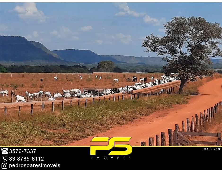 Fazenda-Sítio-Chácara, 4095 hectares - Foto 3