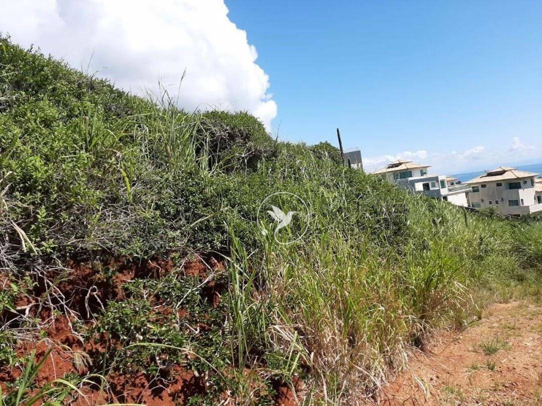 Terreno à venda, 9710M2 - Foto 21