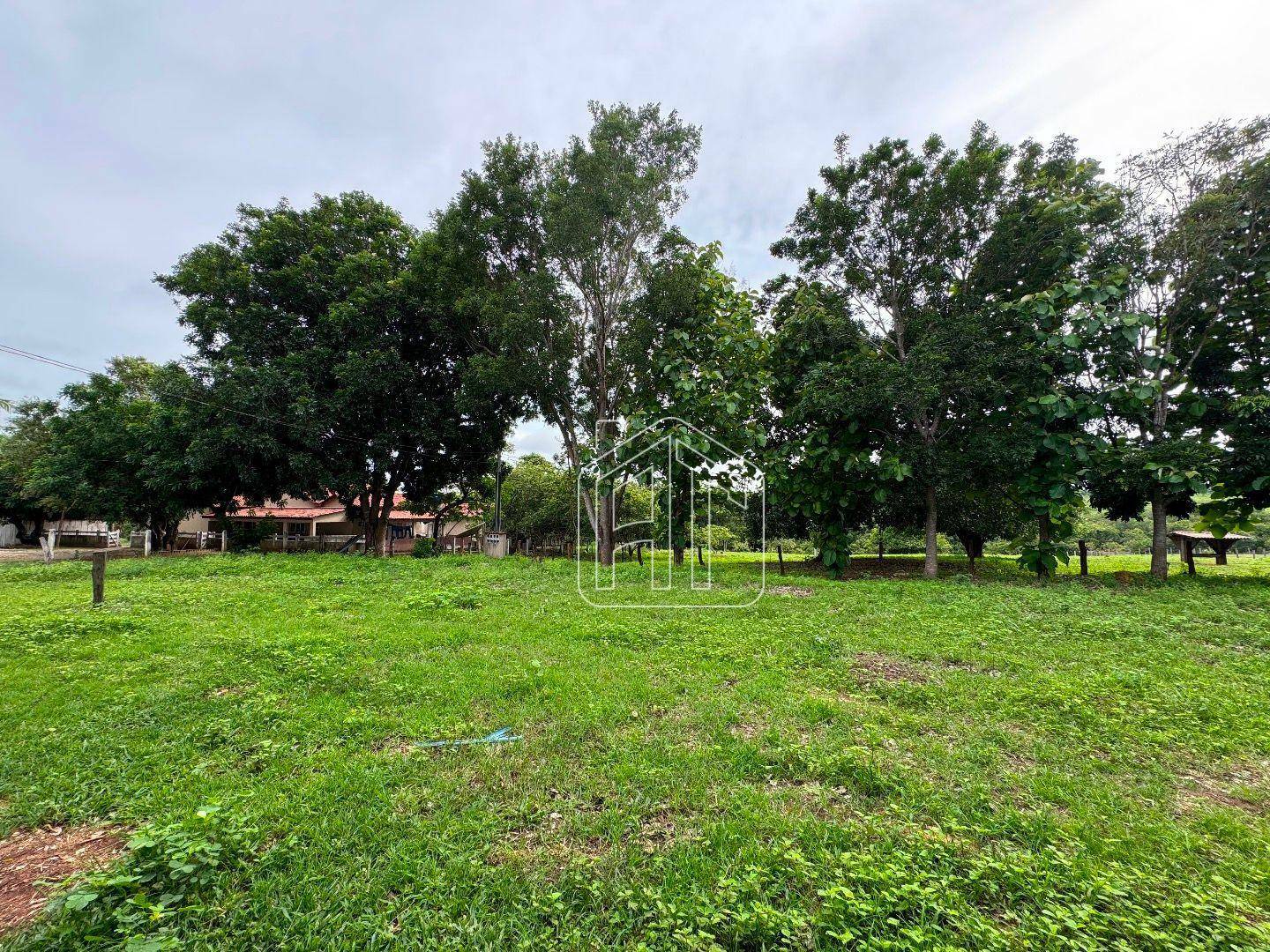 Fazenda à venda com 3 quartos, 26600000M2 - Foto 15