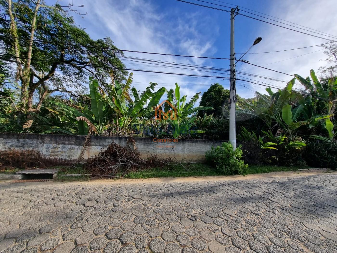 Chácara, 4 quartos, 5000 m² - Foto 3