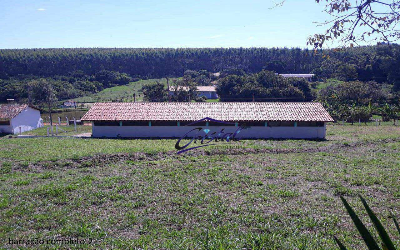 Sítio, 7 quartos, 2 hectares - Foto 3