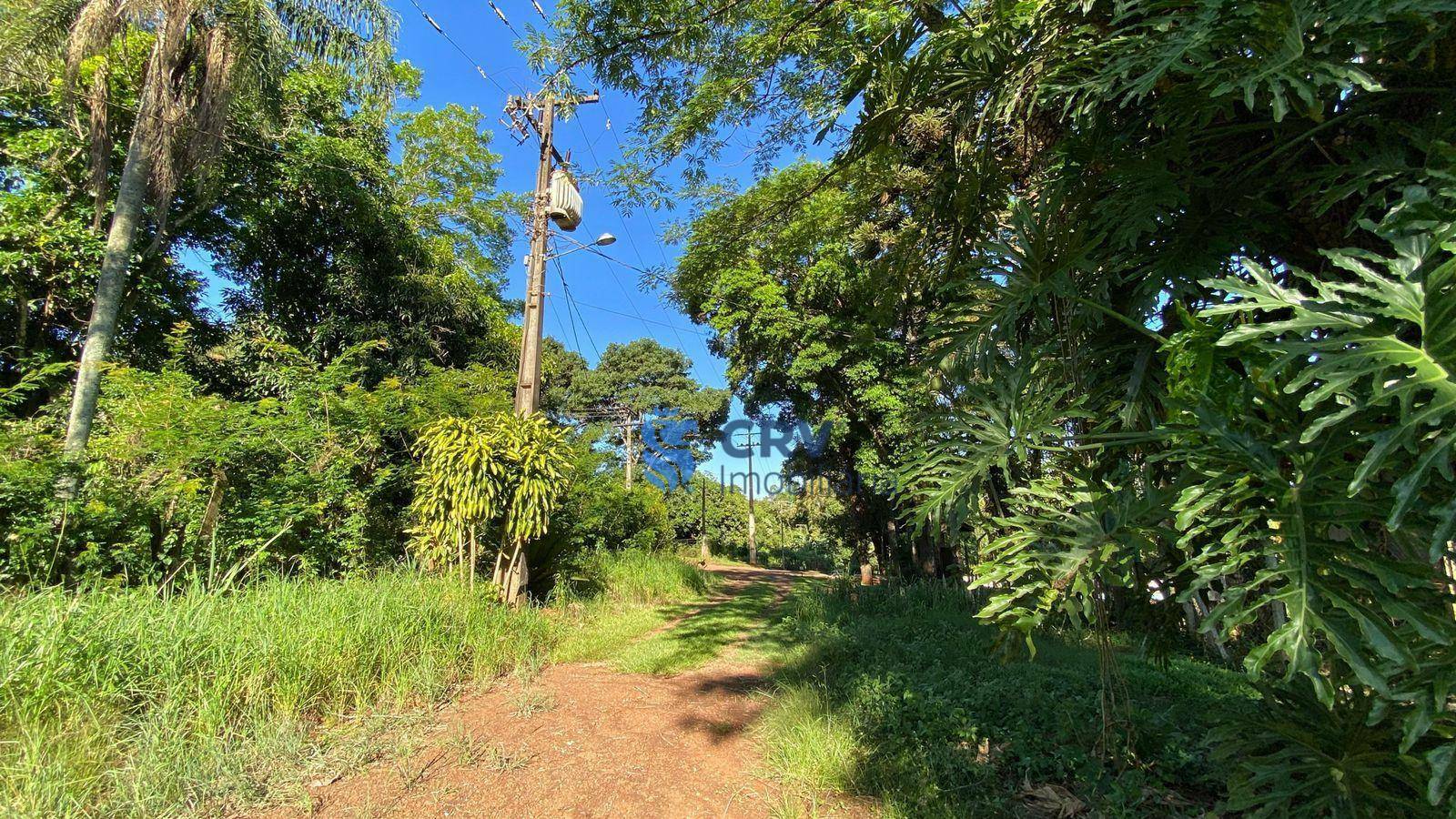 Chácara à venda com 2 quartos, 130m² - Foto 21