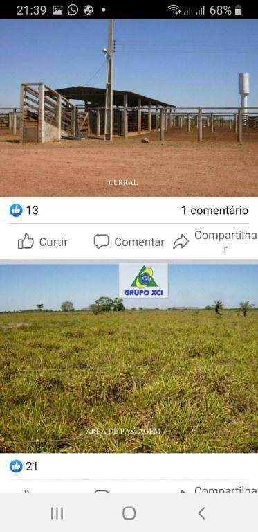 Fazenda-Sítio-Chácara, 21586 hectares - Foto 3