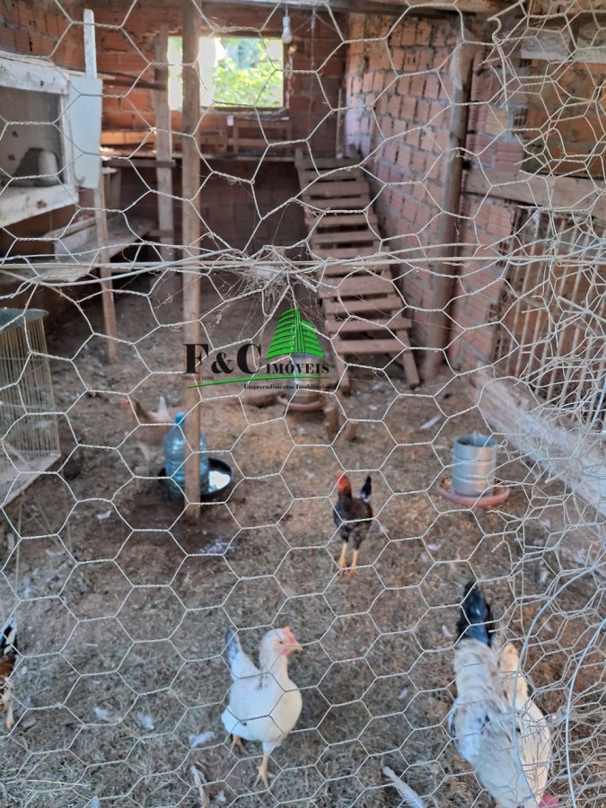 Chácara à venda com 2 quartos, 8000m² - Foto 24