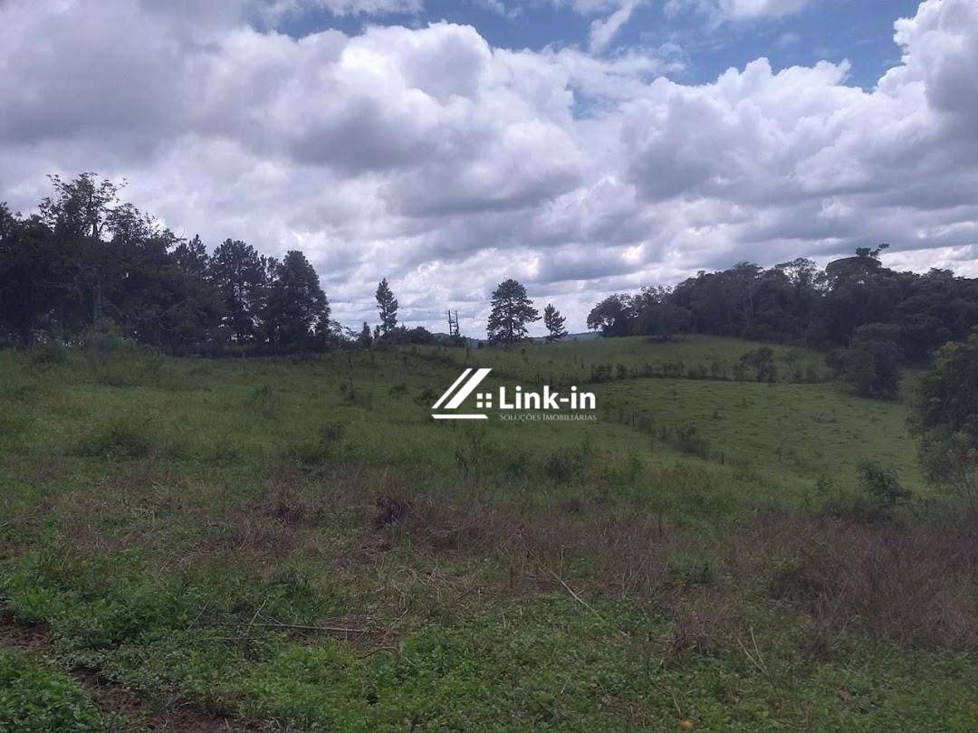 Fazenda, 3 quartos - Foto 5