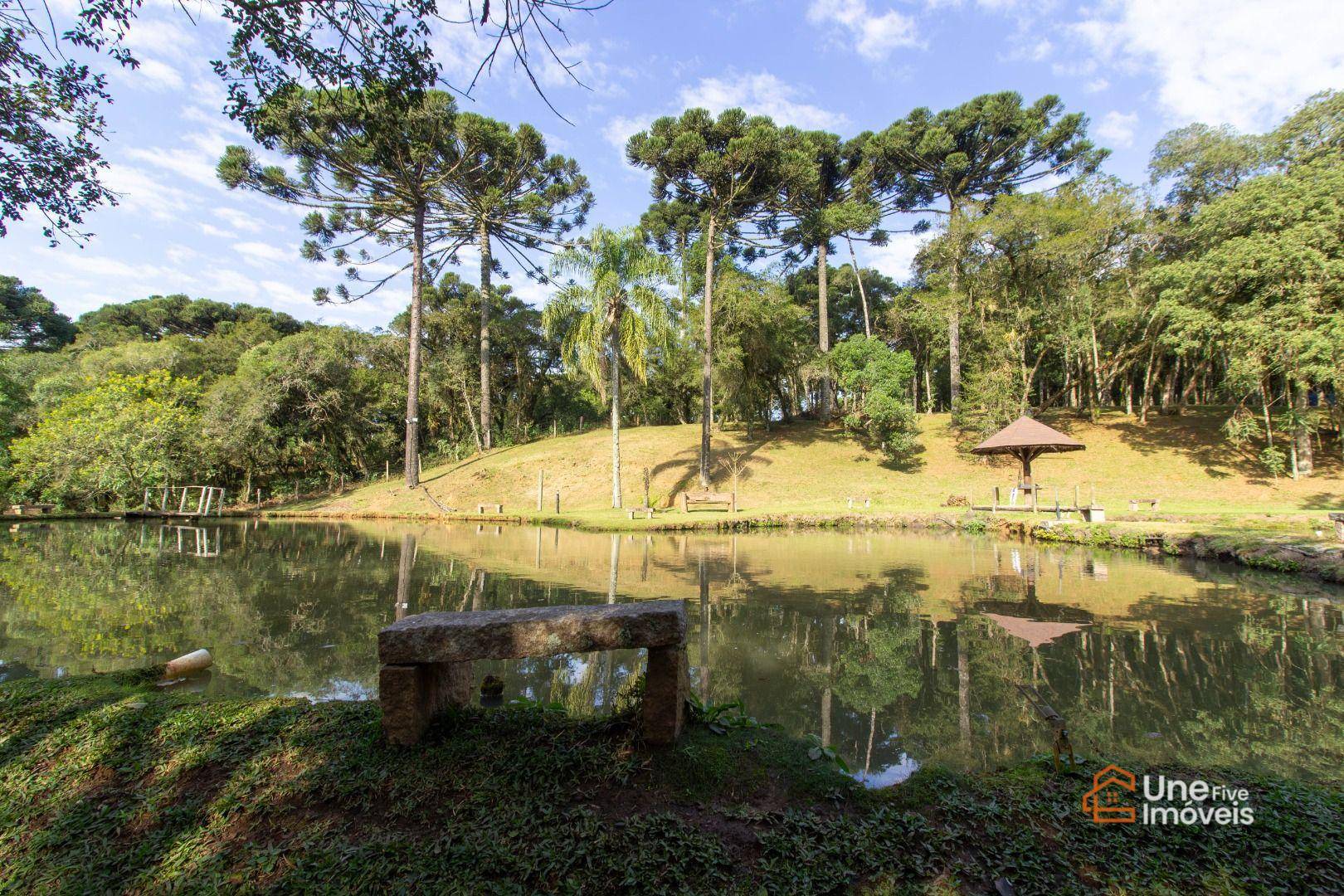 Chácara, 4 quartos, 45 m² - Foto 1