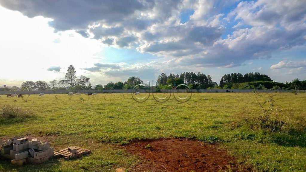 Terreno à venda e aluguel, 43M2 - Foto 3