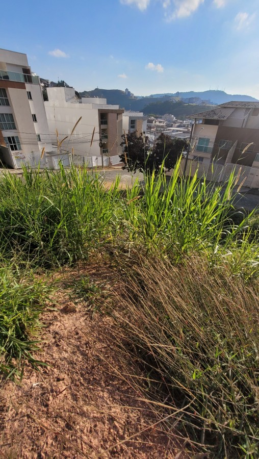 Terreno à venda, 600m² - Foto 8