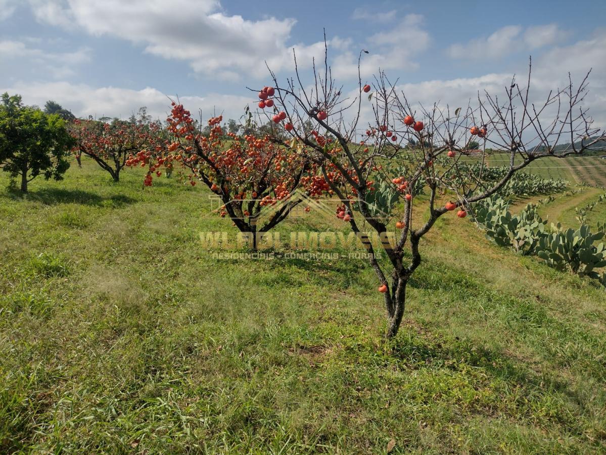 Fazenda à venda, 5m² - Foto 25