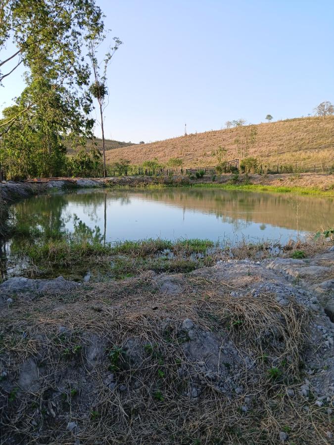 Fazenda à venda com 2 quartos, 146000m² - Foto 5