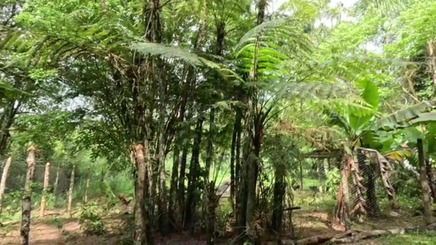 Sítio, 3 quartos, 30 hectares - Foto 42