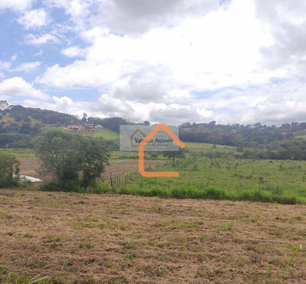 Terreno, 3 hectares - Foto 4